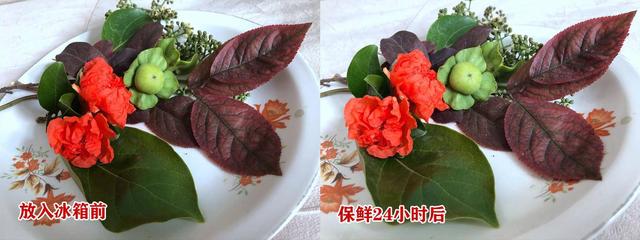 新飞冰箱最新款有哪些 新飞冰箱新品评测(28)