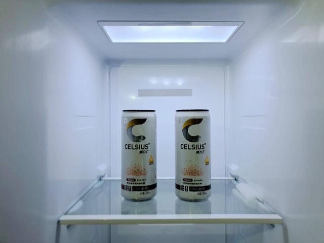新飞冰箱最新款有哪些 新飞冰箱新品评测(14)