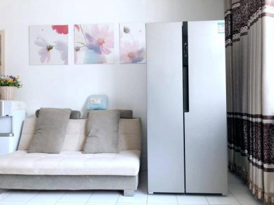 ​新飞冰箱最新款有哪些 新飞冰箱新品评测