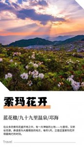 ​人间四月芳菲尽杜鹃花开满山红 索玛花开正当时