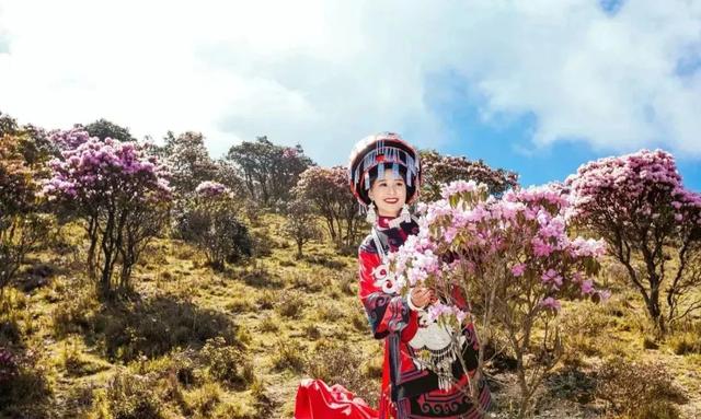 人间四月芳菲尽杜鹃花开满山红 索玛花开正当时(3)