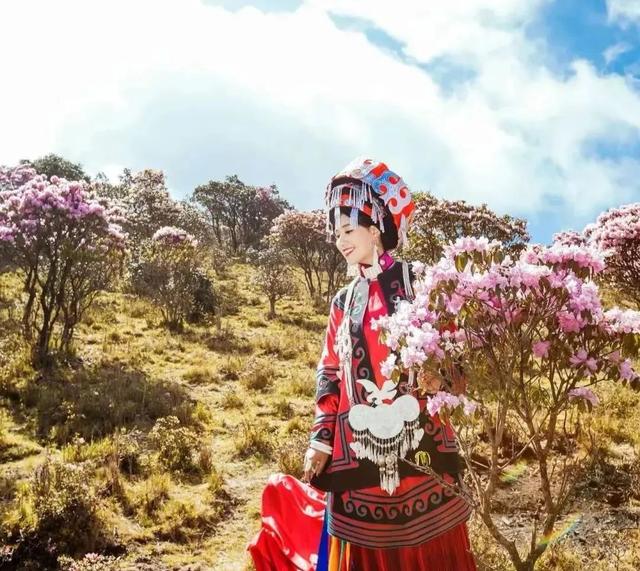 人间四月芳菲尽杜鹃花开满山红 索玛花开正当时(4)