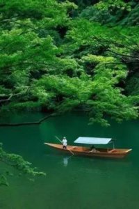​中年情感驿站日志（情感驿站爱到极致不相见）
