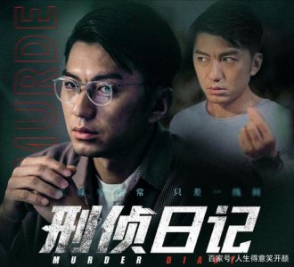 ​刑侦日记大结局凶手到底是谁（刑侦日记简介）