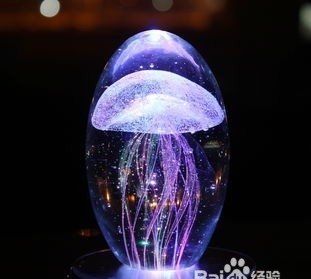 情人节送什么最好,情人节送女朋友什么礼物比较好看图12
