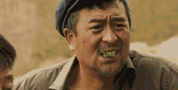 山海情分集剧情介绍,电视剧《山海情》共多少集?图5
