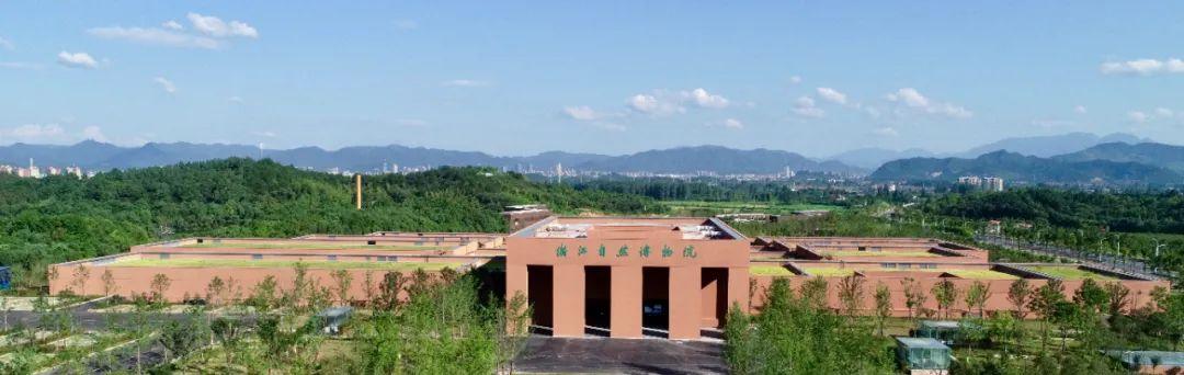 安吉县必玩三大景点（来安吉这些特别）(8)