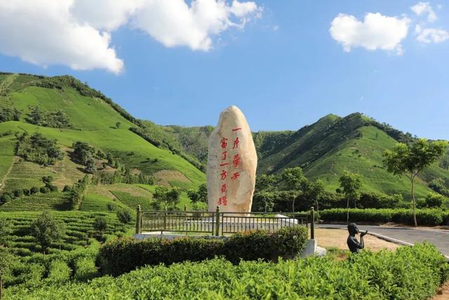 安吉县必玩三大景点（来安吉这些特别）(4)