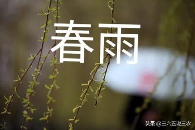 ​今天是二九第一天吗（今日八九第一天）