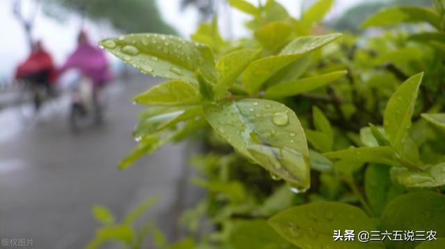 今天是二九第一天吗（今日八九第一天）(2)