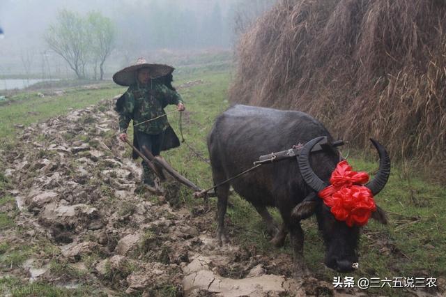 今天是二九第一天吗（今日八九第一天）(4)