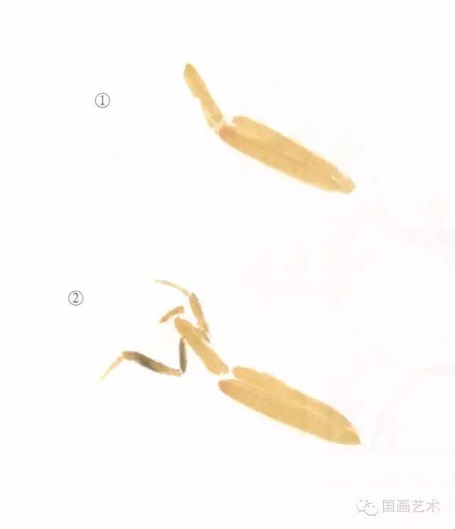 螳螂画法教程简单（教程分享螳螂画法）(19)