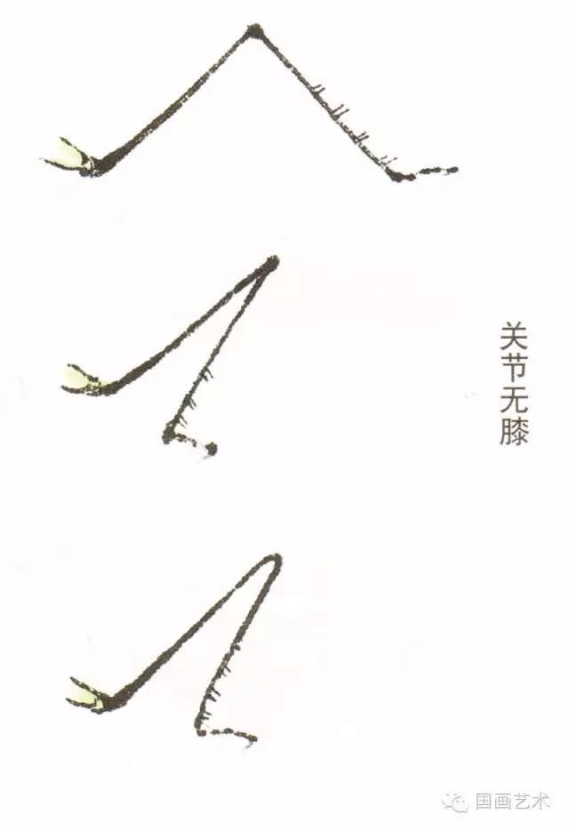 螳螂画法教程简单（教程分享螳螂画法）(13)