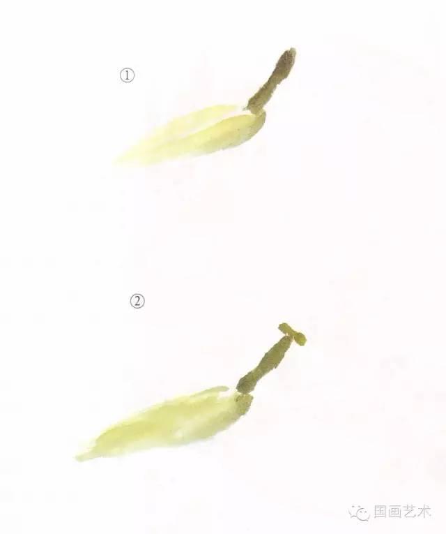 螳螂画法教程简单（教程分享螳螂画法）(21)