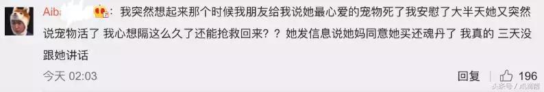 腾讯正式宣布qq宠物（许多人生命中第一个虚拟宠物）(6)
