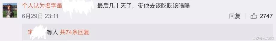 腾讯正式宣布qq宠物（许多人生命中第一个虚拟宠物）(7)