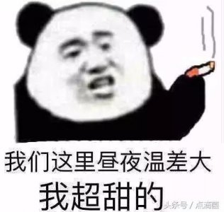 ​腾讯正式宣布qq宠物（许多人生命中第一个虚拟宠物）