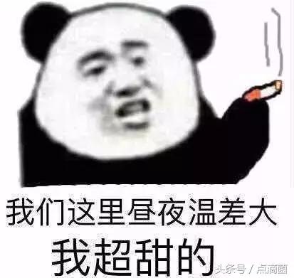腾讯正式宣布qq宠物（许多人生命中第一个虚拟宠物）(1)