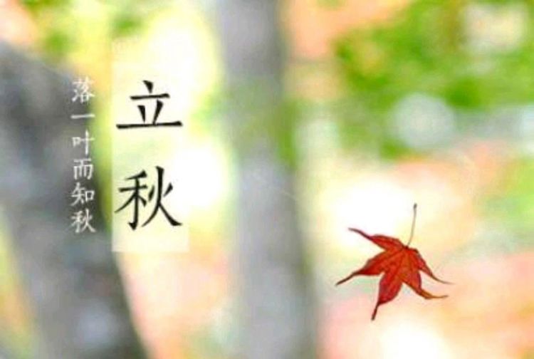 立秋诗词七律：秋天景色的古诗
