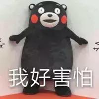支付宝漏洞的真实经历（网曝支付宝出现重大漏洞）(10)