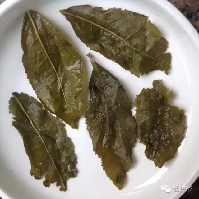铁观音的好坏鉴定（鉴别铁观音好坏的15个度）(3)