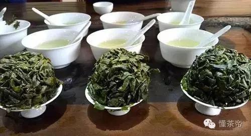 铁观音的好坏鉴定（鉴别铁观音好坏的15个度）(5)