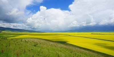 ​最大的地方打一成语,最大的地方打一成语是什么