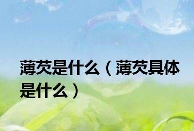 烹饪中的焗是什么意思