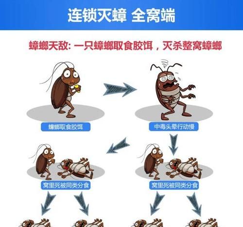 杀蟑饵剂可以放在卧室吗会不会把其他房间的蟑螂引过来
