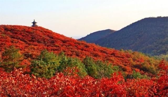 以红叶著名的香山位于哪座城市，北京香山坡度多大？图4