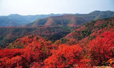 ​以红叶著名的香山位于哪座城市，北京香山坡度多大？