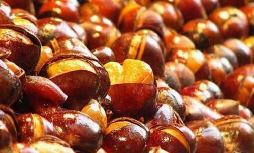 生板栗仁冷冻可以保存多久