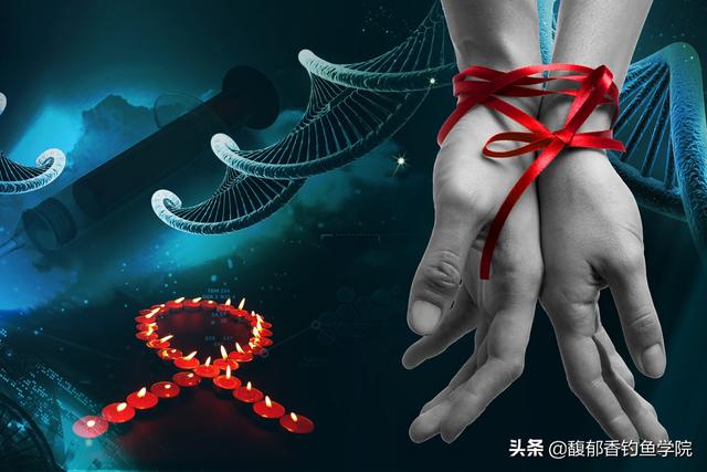 诱鱼剂实测哪一种最好（哪种诱鱼剂和鱼类促食剂比较高级）(3)