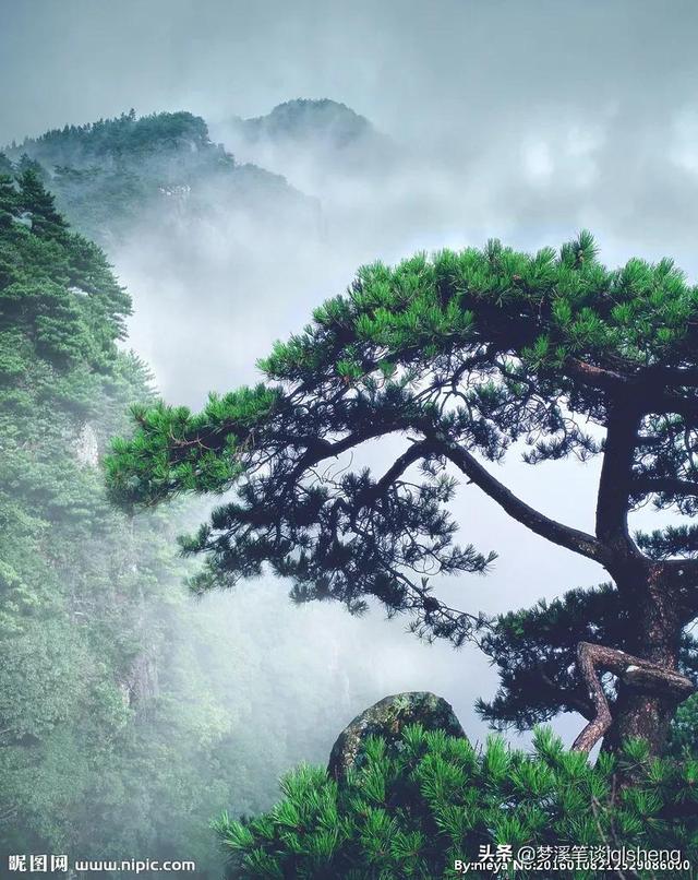 明月山好去处（月亮之都秀美明月山）(5)