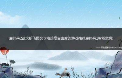 ​雇佣兵2战火纷飞图文攻略(超高自由度的游戏推荐雇佣兵2智能危机)