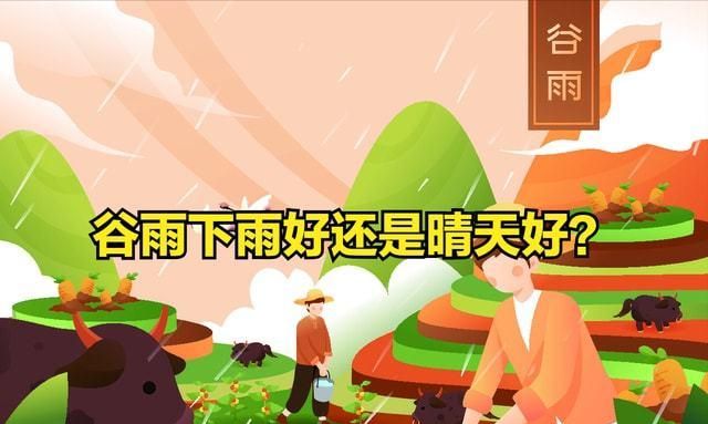 谷雨是什么时候