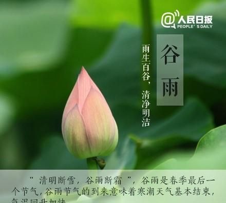 二十四节气中的谷雨节气养生