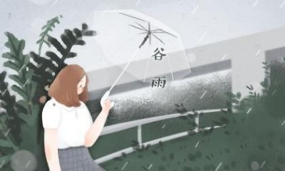 ​谷雨是哪天下雨好,谷雨节气是下雨好还是不下雨好