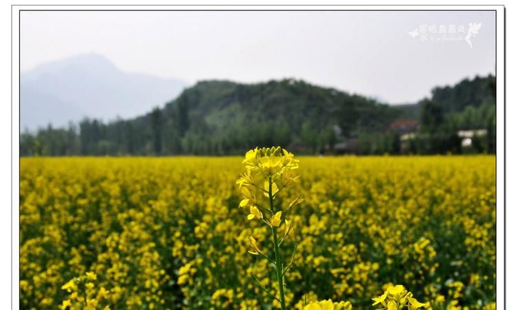 带雨和阳的情侣网名
