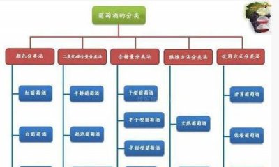 ​葡萄酒分类，一张图看懂葡萄酒分类？
