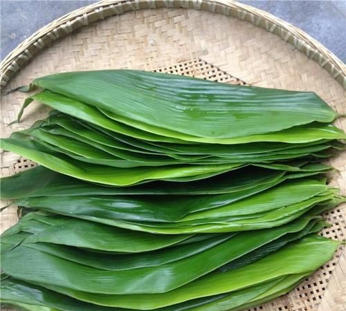 粽子的粽叶是什么叶子,粽子外面的叶子是什么图29