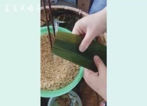 粽子的粽叶是什么叶子,粽子外面的叶子是什么图3