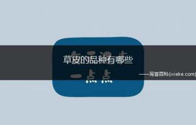 ​草皮的品种有哪些（草皮种类及优缺点）