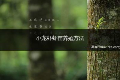 ​小龙虾虾苗养殖方法(小龙虾种苗培育的技术要点)