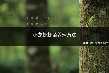 小龙虾虾苗养殖方法(小龙虾种苗培育的技术要点)
