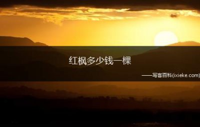 ​红枫多少钱一棵（红枫树10公分价格）