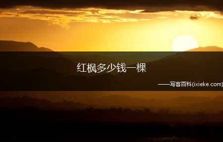红枫多少钱一棵（红枫树10公分价格）