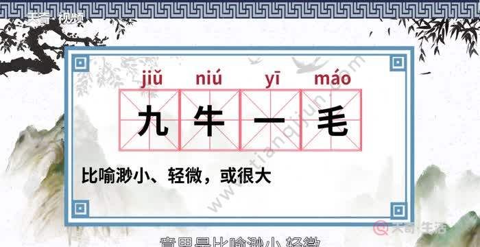 九牛一毛指什么生肖