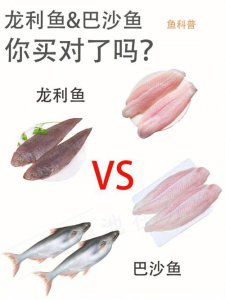​龙利鱼和巴沙鱼是一种鱼吗（龙利鱼和巴沙鱼是同一种鱼吗）