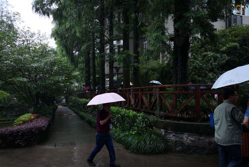 杭州的梅雨季节是几月份到几月份